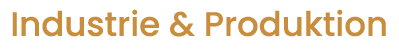 Single Brand Logo